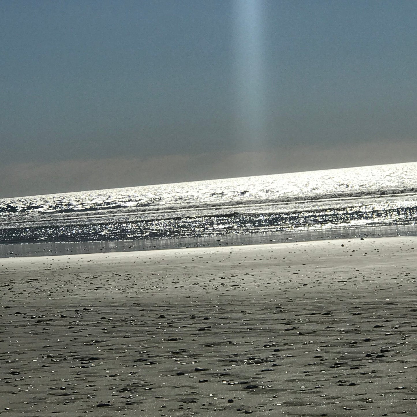 South Carlsbad State Beach, Carlsbad, California Cards